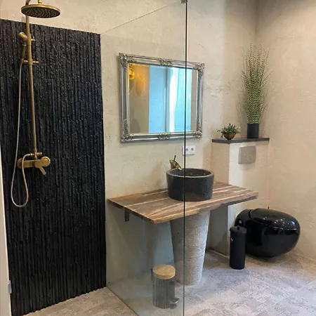 Exklusives Donaublick Linz